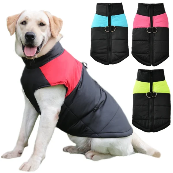 Waterproof Vest Jacket With D Ring