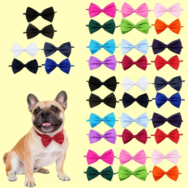 Festive Pet Grooming Accessories Pack